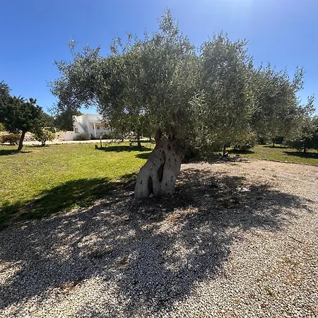 Villa Tenuta Fico D'india - Casa Lumia