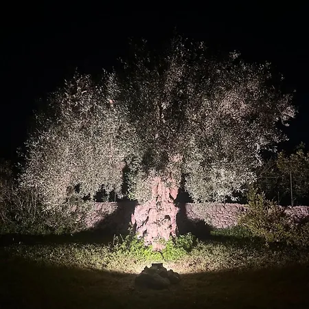 Tenuta Fico D'india - Casa Lumia Villa