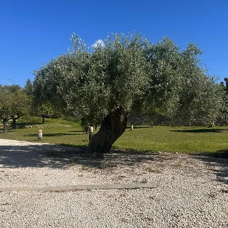 Villa Tenuta Fico D'india - Casa Lumia *